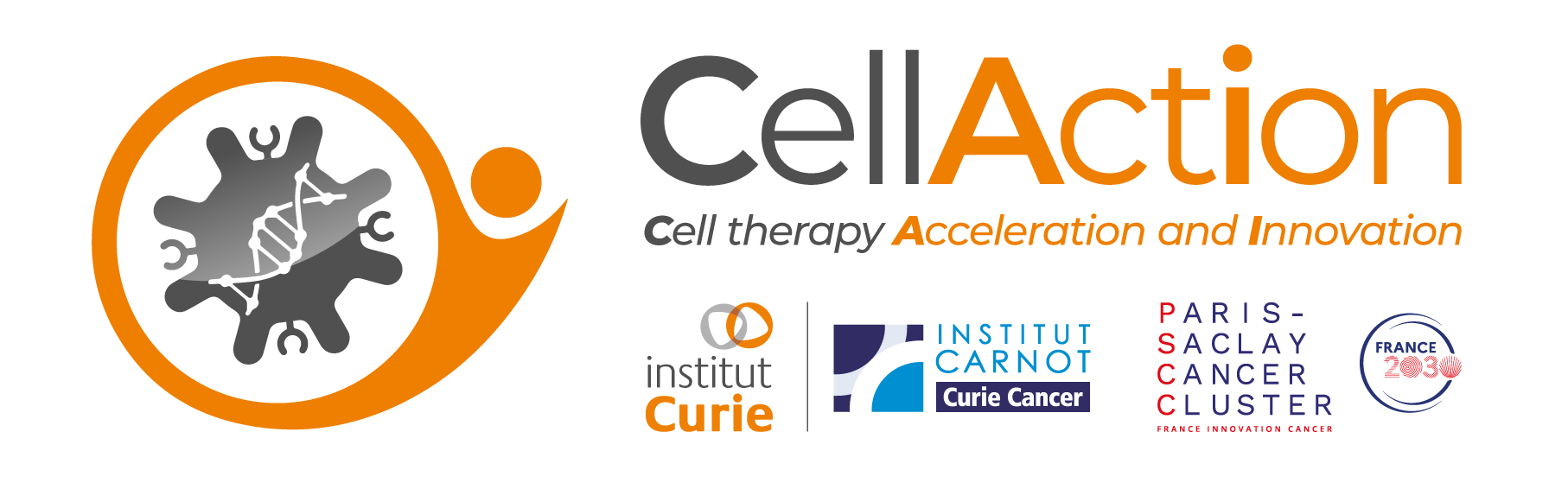 CellAction (Cell therapy Acceleration and Innovation)